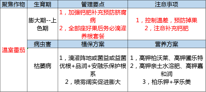 老徐彩报图揭秘，和值突破点预测揭秘